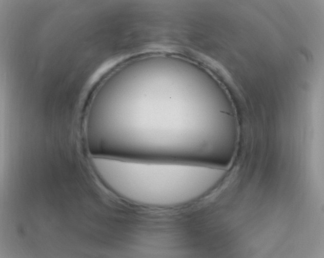 X0000114721168200910211045