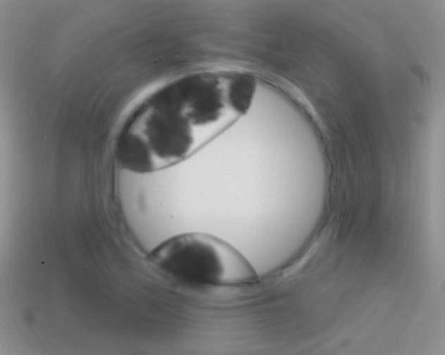 X0000114721171200910211045