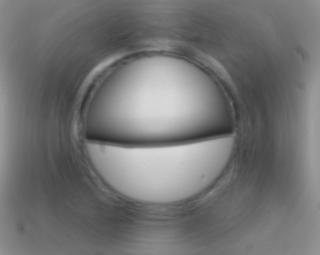 X0000114721172200910211045