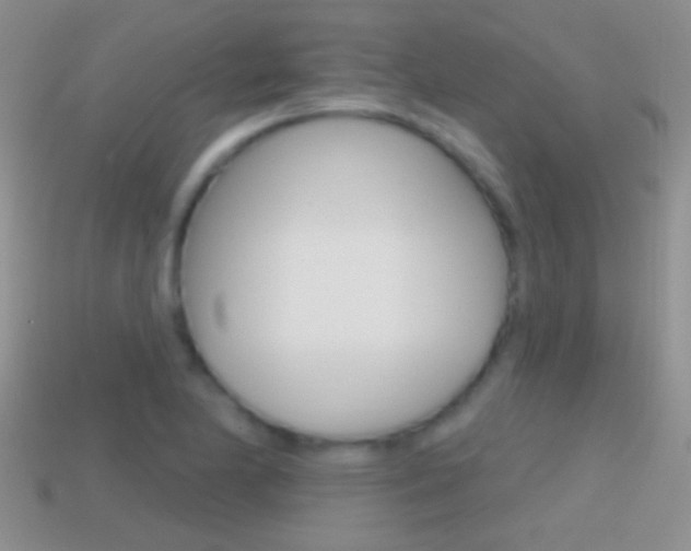 X0000114721174200910211045