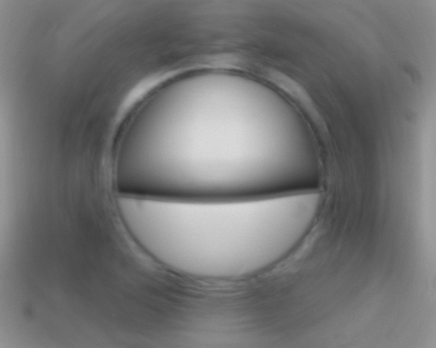 X0000114721176200910211045