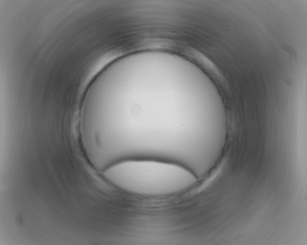 X0000114721178200910211045