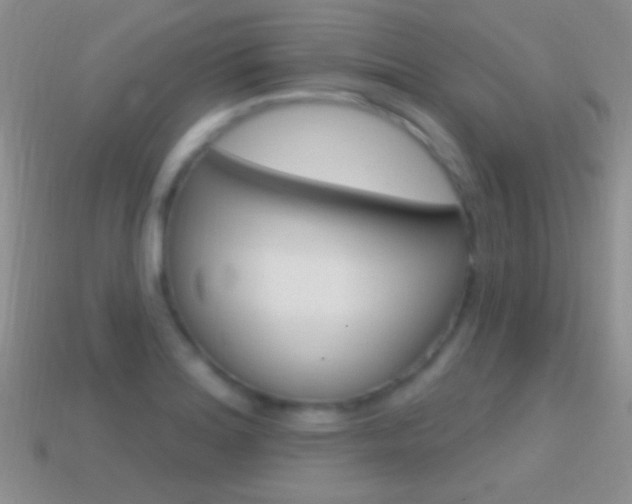 X0000114721180200910211045
