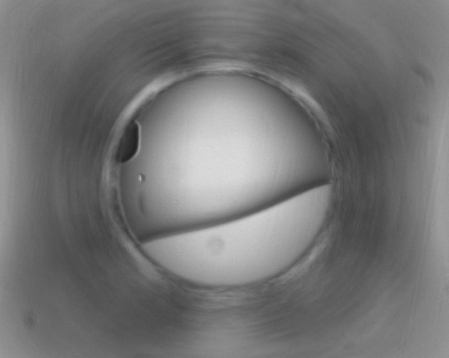 X0000114721181200910211045