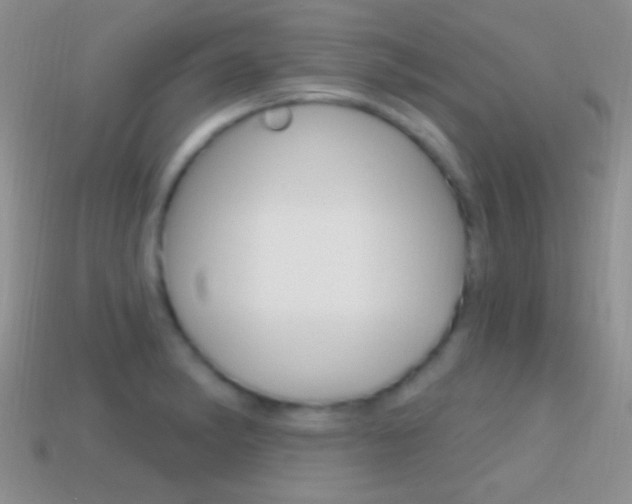 X0000114721182200910211045