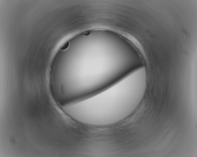 X0000114721183200910211045