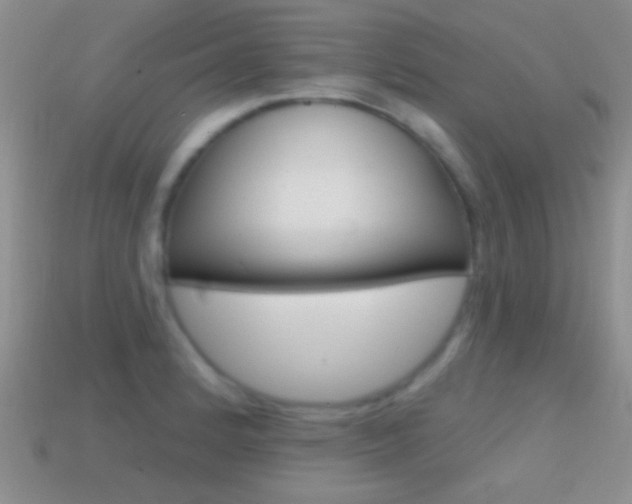 X0000114721184200910211045