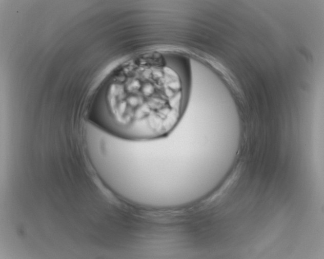 X0000114721185200910211045