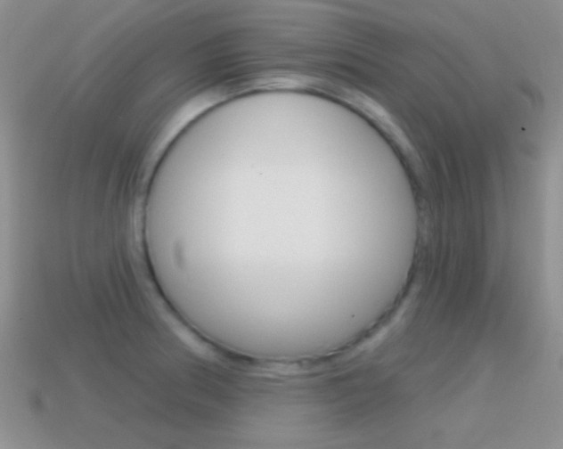 X0000114721186200910211045