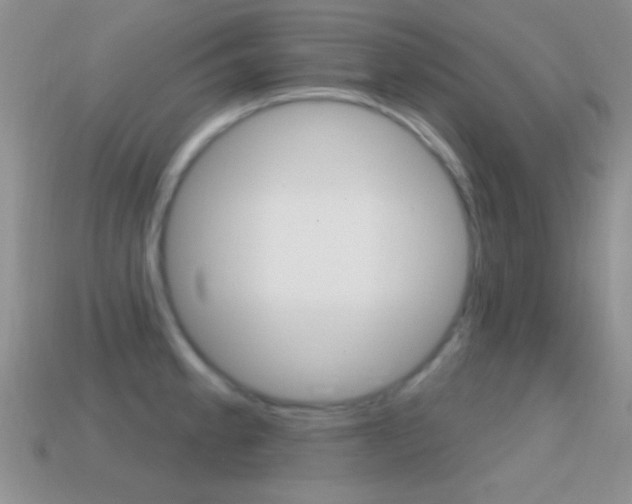 X0000114721189200910211045
