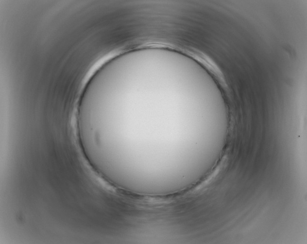 X0000114721190200910211045