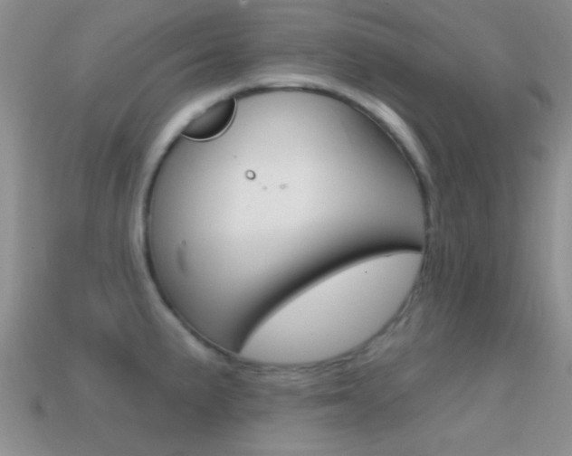 X0000114721191200910211045
