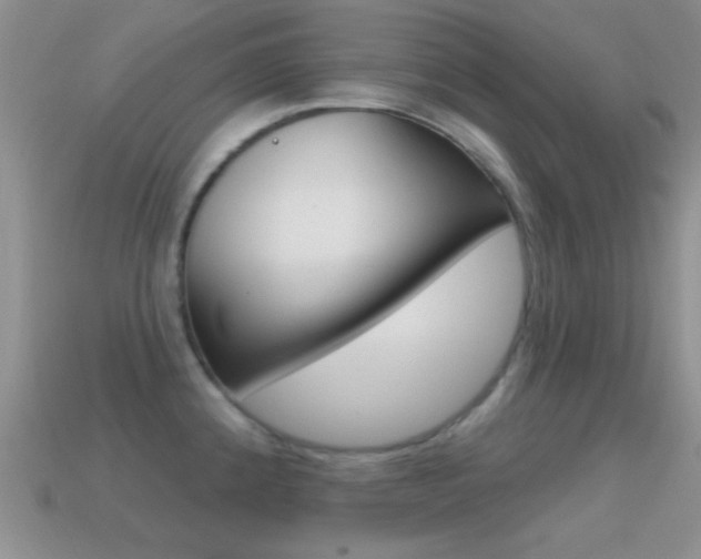 X0000114721192200910211045