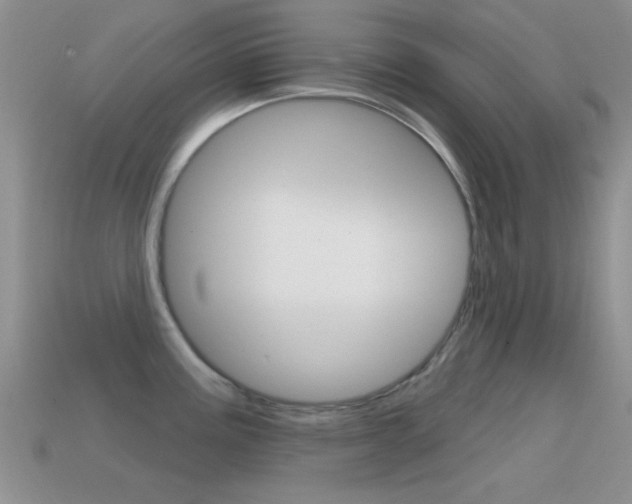 X0000114721195200910211045