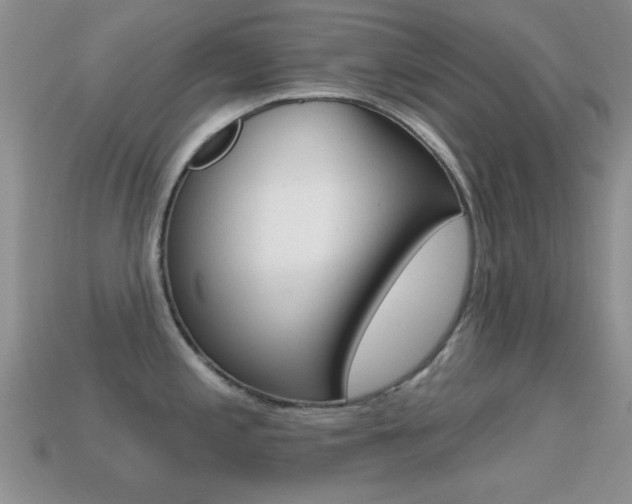 X0000114721197200910211045