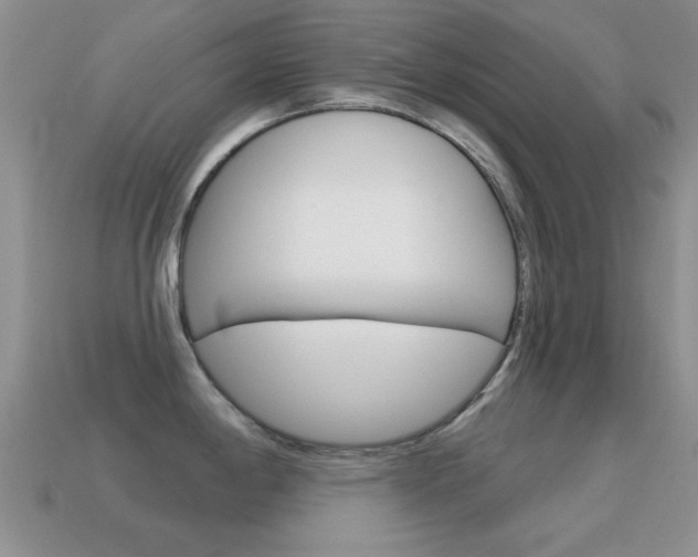 X0000114721198200910211045
