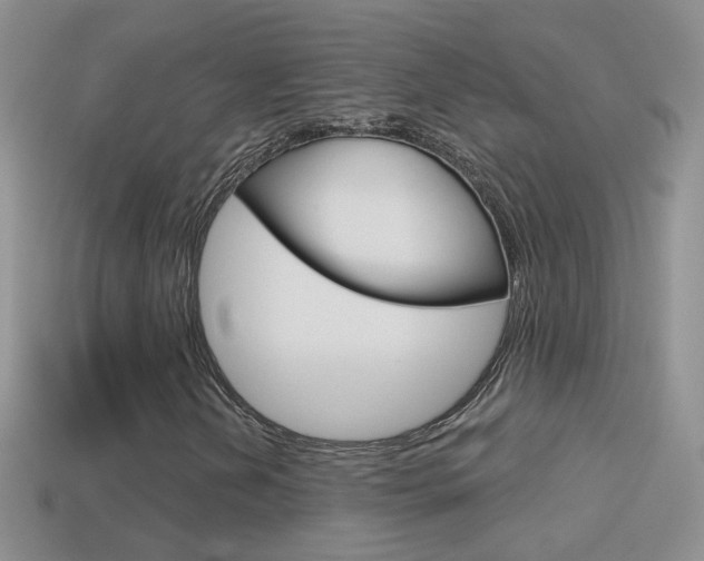 X0000114721202200910211044