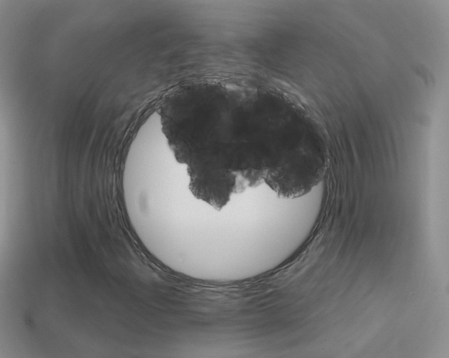 X0000114721204200910211044