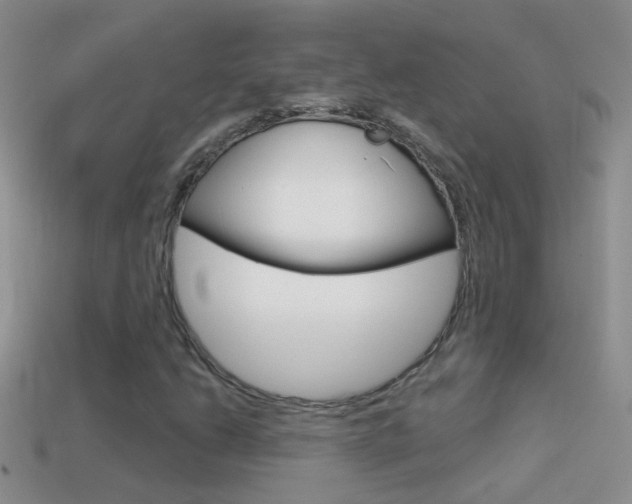X0000114721206200910211044