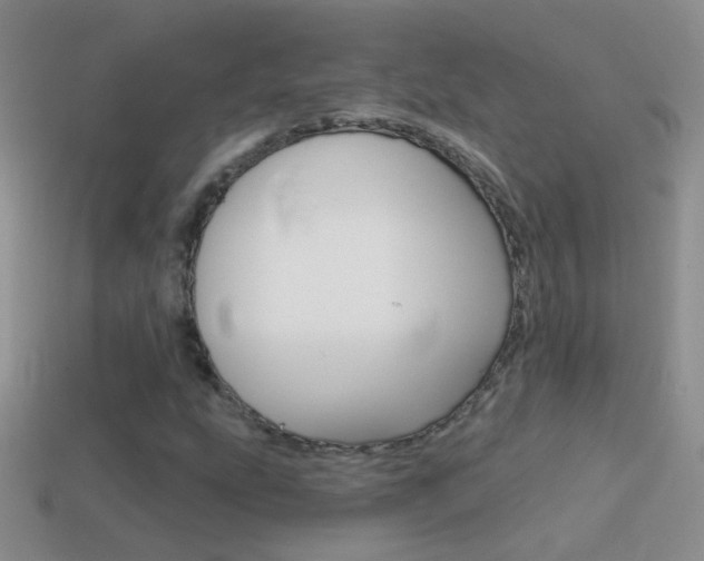 X0000114721207200910211044