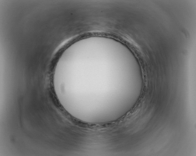 X0000114721208200910211044
