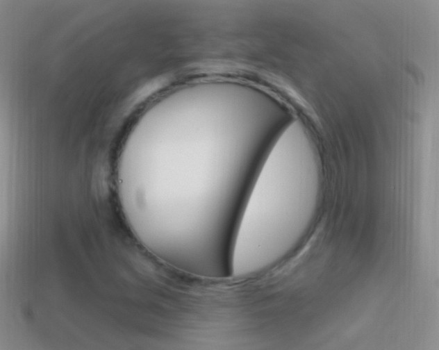 X0000114721213200910211044