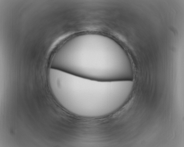 X0000114721214200910211044