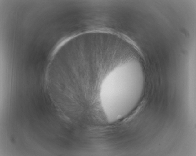X0000114721215200910211044