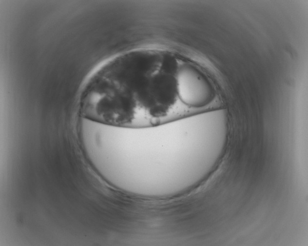 X0000114721216200910211044