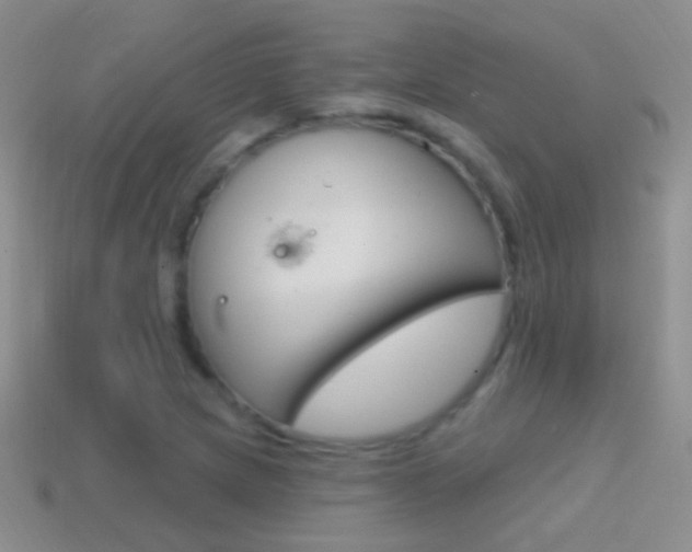 X0000114721217200910211044