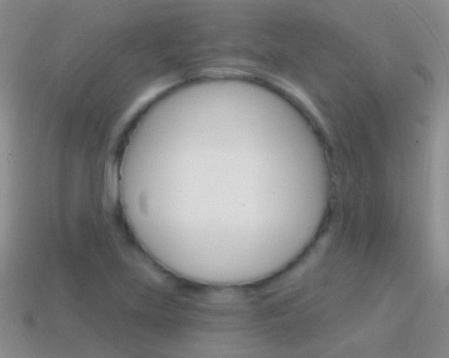 X0000114721219200910211044