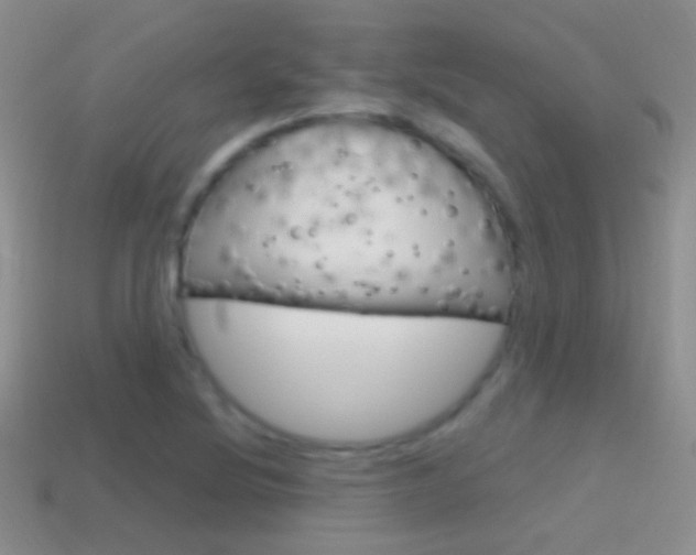 X0000114721220200910211044