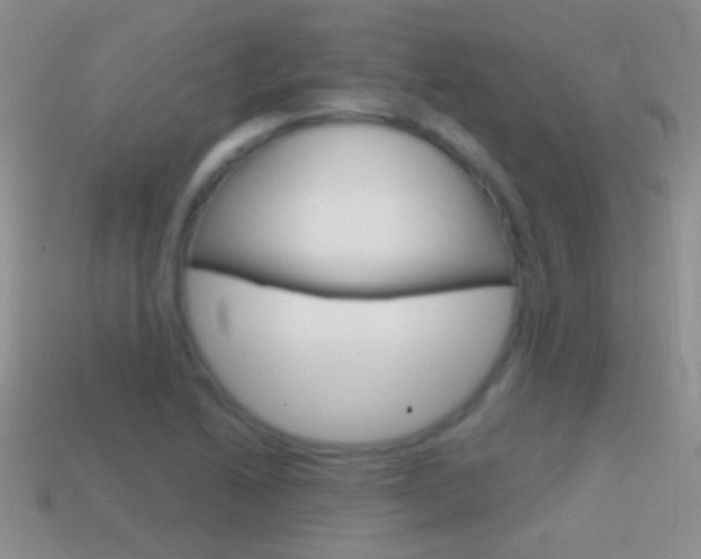X0000114721222200910211044