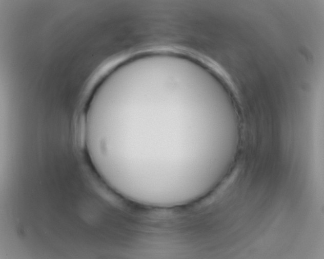 X0000114721223200910211044