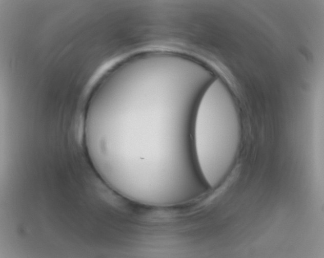X0000114721224200910211044