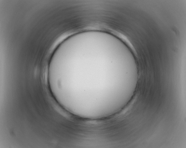 X0000114721227200910211044