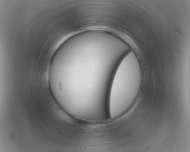 X0000114721228200910211044