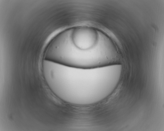 X0000114721230200910211044