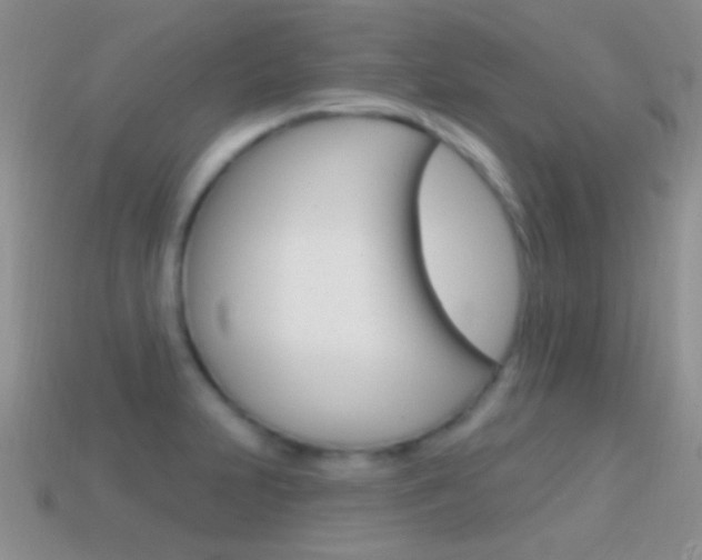 X0000114721231200910211044