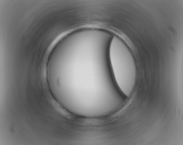 X0000114721232200910211044