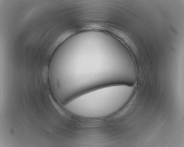 X0000114721233200910211044