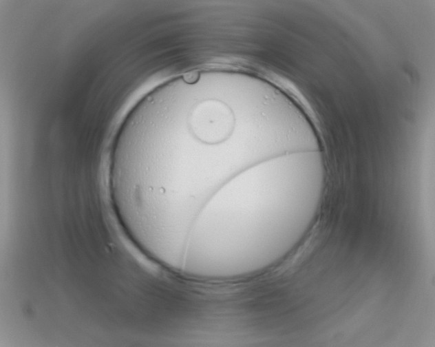 X0000114721235200910211044