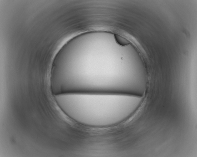 X0000114721236200910211045
