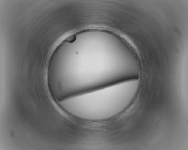 X0000114721237200910211045