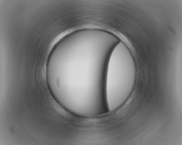 X0000114721238200910211045