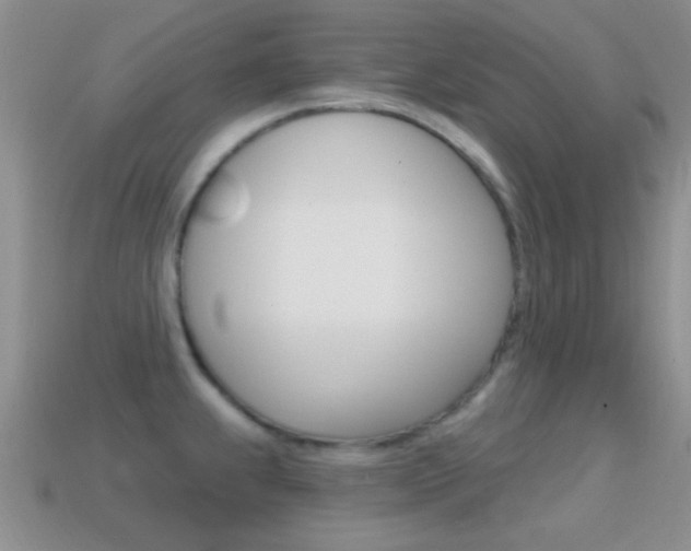 X0000114721239200910211045