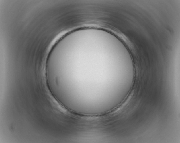 X0000114721240200910211045