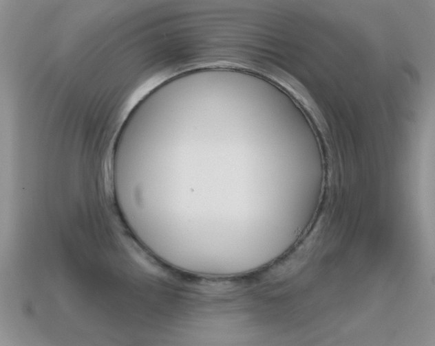 X0000114721242200910211045