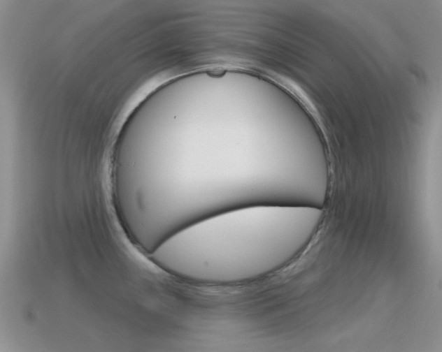 X0000114721243200910211045