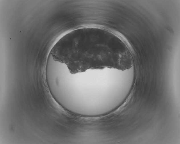 X0000114721244200910211045